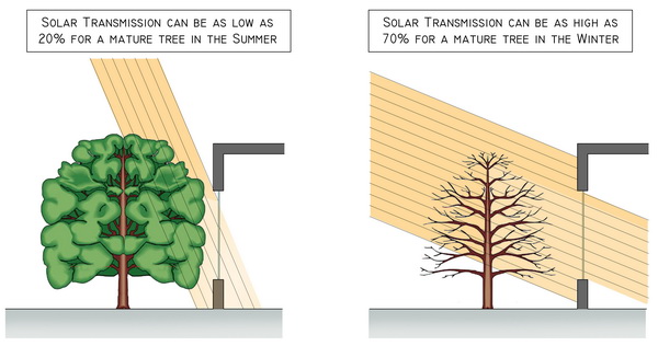 Vegetative Shading